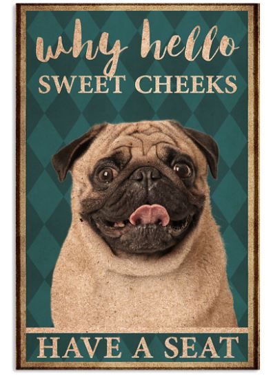 Pug hello sweet cheeks poster