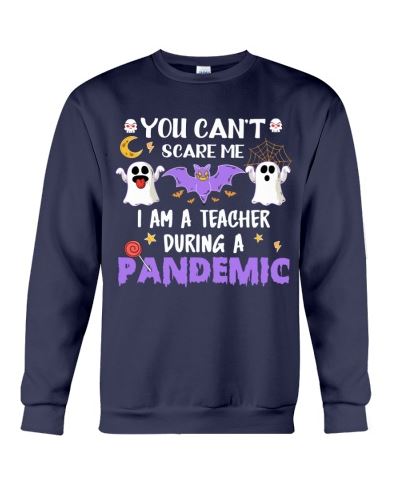 Ghost cant scare teacher pandemic sweater