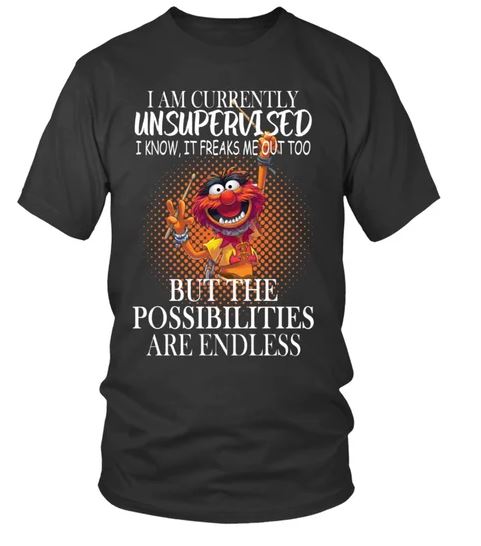Currently unsupervised possibilities endless t shirt, hoodie