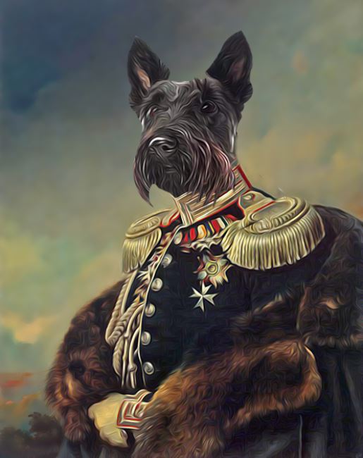 Canvas Dog Black General 2