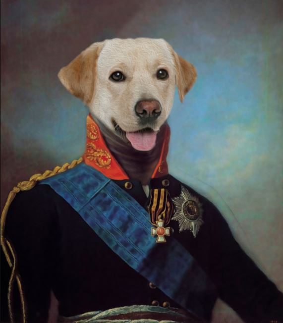 Canvas Dog Majestic 2