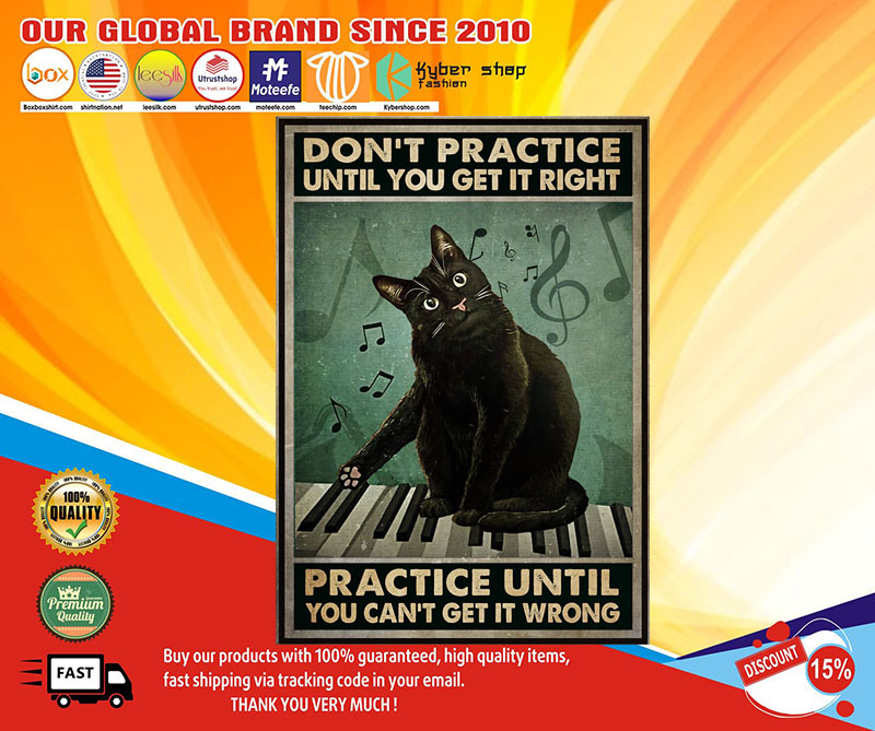 Cat Don't practice until you get it right practice until you can't get it wrong poster1