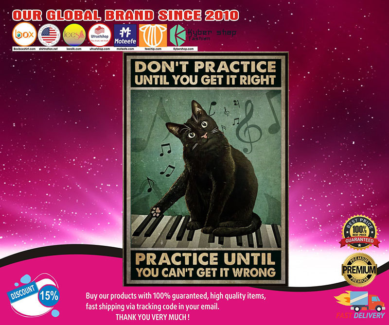 Cat Don't practice until you get it right practice until you can't get it wrong poster2