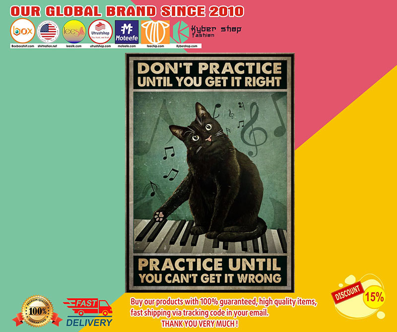 Cat Don't practice until you get it right practice until you can't get it wrong poster3