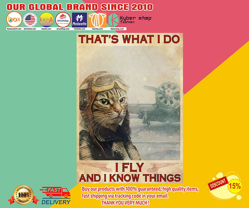 Cat That's what I do I fly and I know things poster2