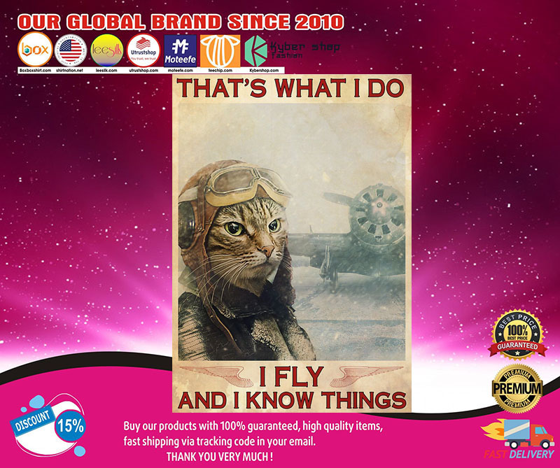 Cat That's what I do I fly and I know things poster3