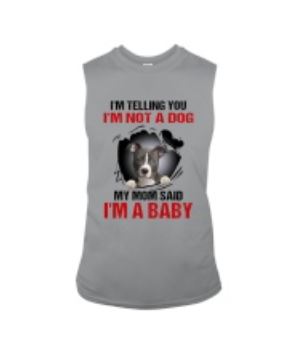 Pitbull not dog I'm baby tank top