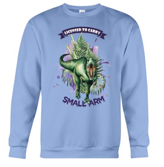 Dinosaur small arms sweater