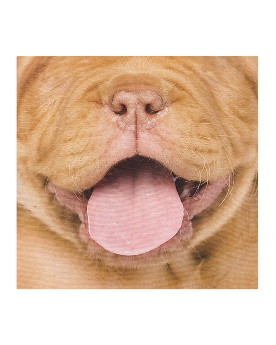French Mastiff Puppy face mask full