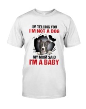 Pitbull not dog I’m baby t shirt, hoodie, tank top