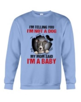 Pitbull not dog I'm baby sweater