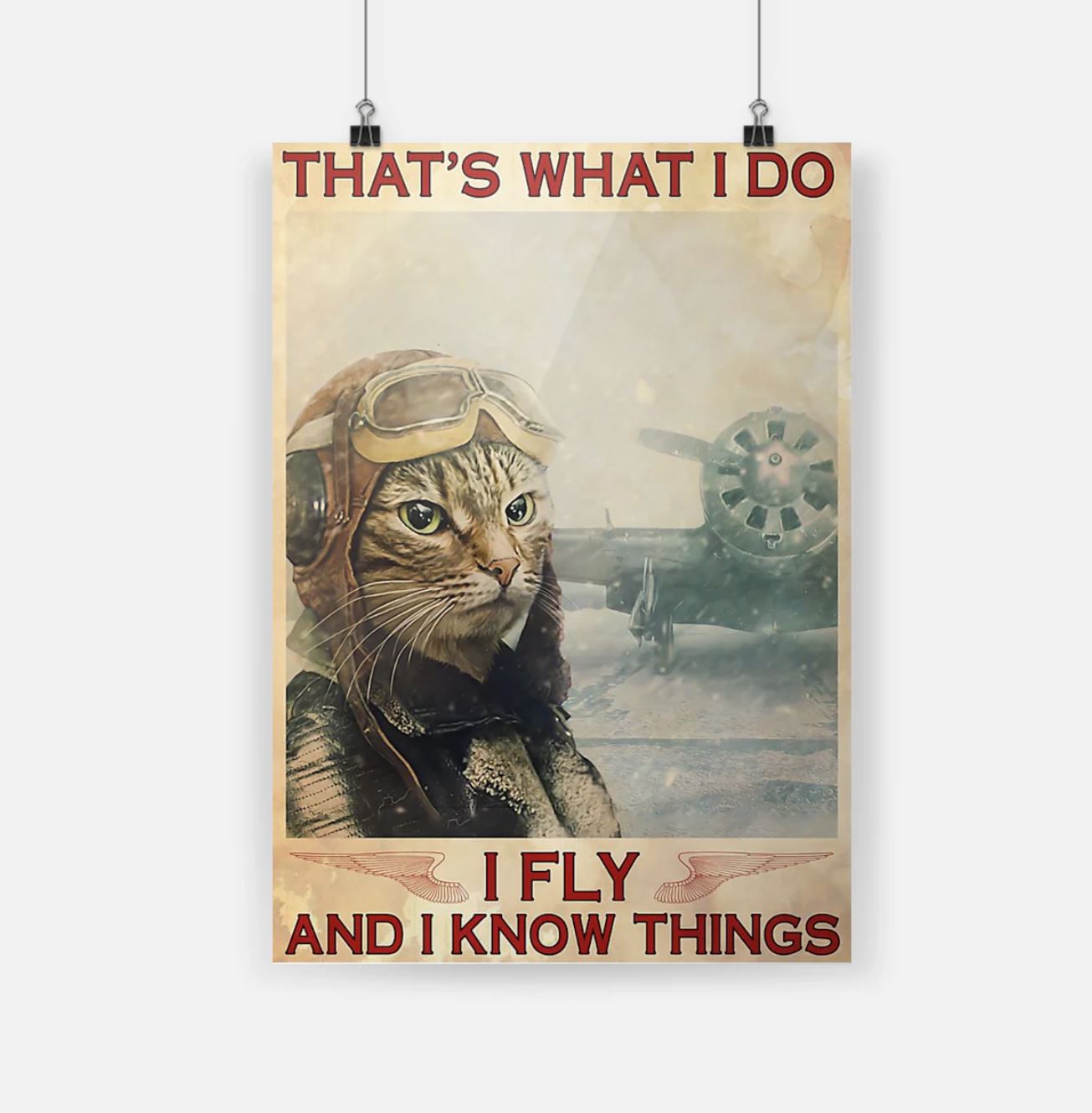 Cat That’s what I do I fly and know things poster