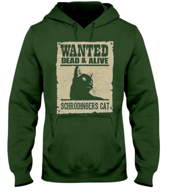 Wanted Schrodinger's cat hoodie