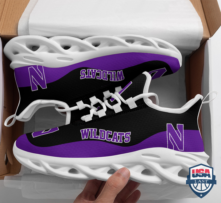 Northwestern-Wildcats-NCAA-Max-Soul-Shoes-2.jpg