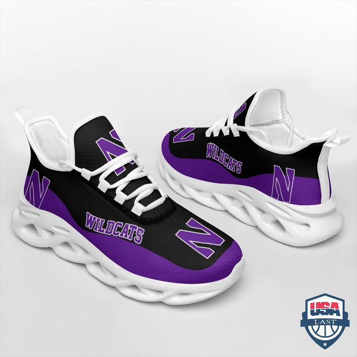 Northwestern-Wildcats-NCAA-Max-Soul-Shoes-3.jpg