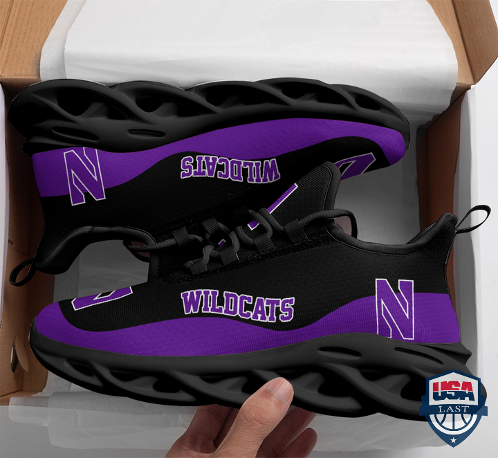 Northwestern Wildcats NCAA Max Soul Shoes