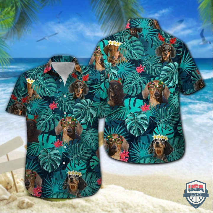 0nesfX6e-T060122-169xxxDachshund-And-Tropical-Leaves-Hawaiian-Shirt-2.jpg