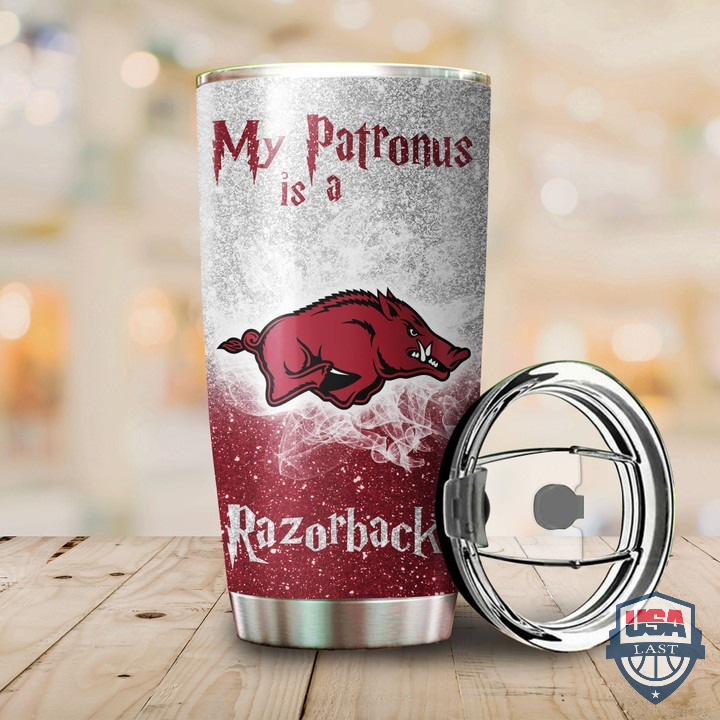 KJqoR6BB-T240122-151xxxArkansas-Razorbacks-Harry-Potter-NCAA-Custom-Name-Tumbler-1.jpg