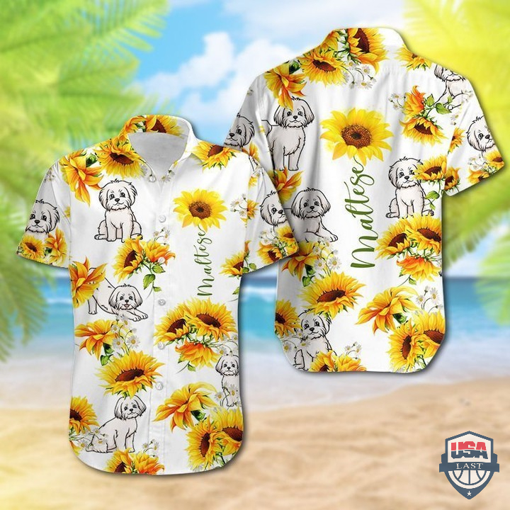 QBbqyx0P-T060122-177xxxMaltese-Sunflower-Hawaiian-Shirt-2.jpg