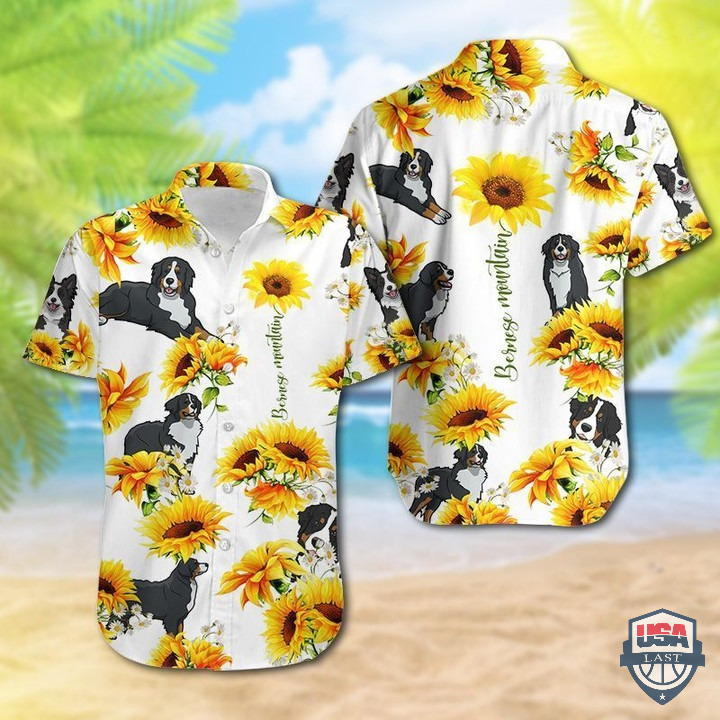 ndQxozgz-T080122-140xxxBernese-Mountain-And-Sun-Flower-Hawaiian-Shirt-1.jpg