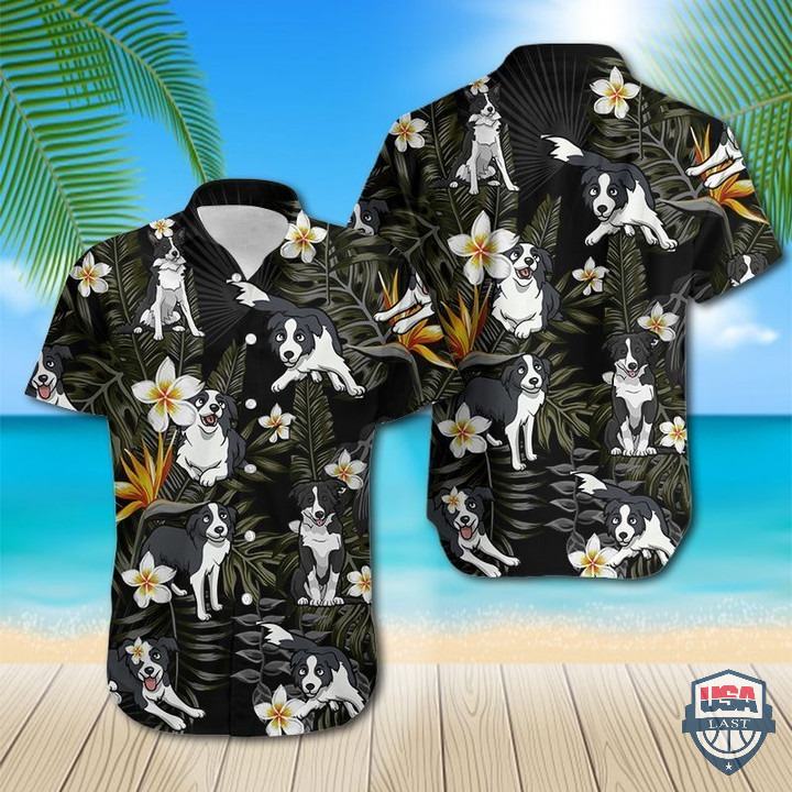 tgnc4rfv-T080122-163xxxBorder-Collie-Dog-Tropical-Leaves-Hawaiian-Shirt-1.jpg