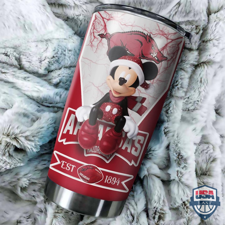 vGvnNlI6-T240122-168xxxNCAA-Arkansas-Razorbacks-And-Mickey-Mouse-Tumbler-2.jpg