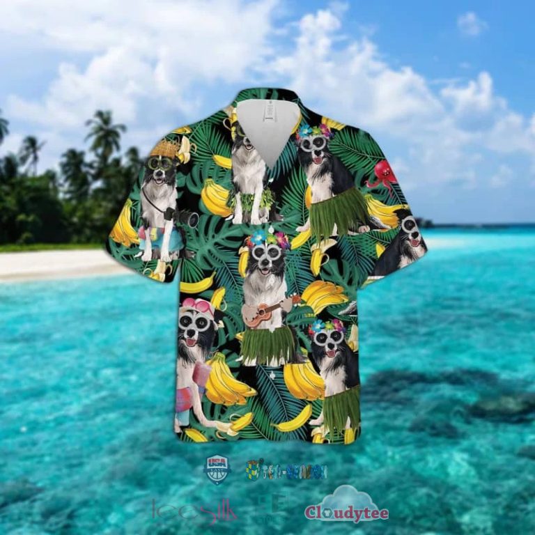 1cvAIKUy-T280322-020xxxBorder-Collie-Banana-Tropical-Hawaiian-Shirt-1.jpg
