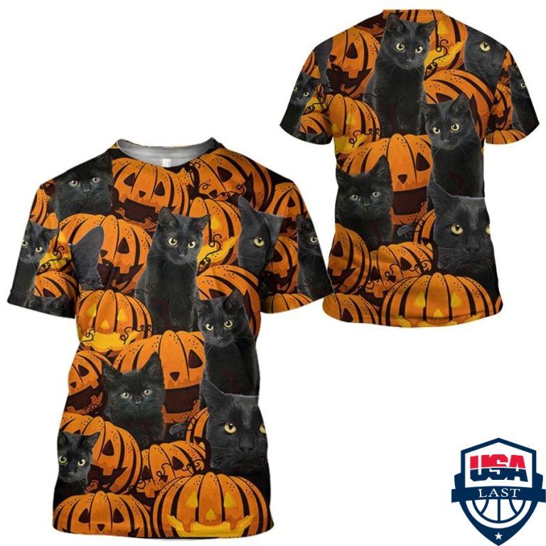 3ECZy523-TH240322-17xxxBlack-Cat-And-Pumpkin-3d-hoodie-apparel2.jpg