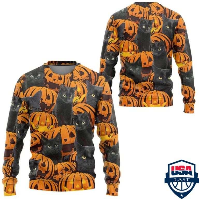 AEgcUB0b-TH240322-17xxxBlack-Cat-And-Pumpkin-3d-hoodie-apparel1.jpg