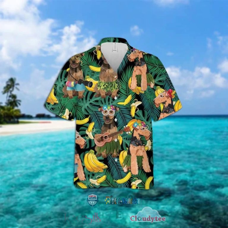 DGZzBhwh-T280322-065xxxWelsh-Terrier-Dog-Banana-Tropical-Hawaiian-Shirt-1.jpg