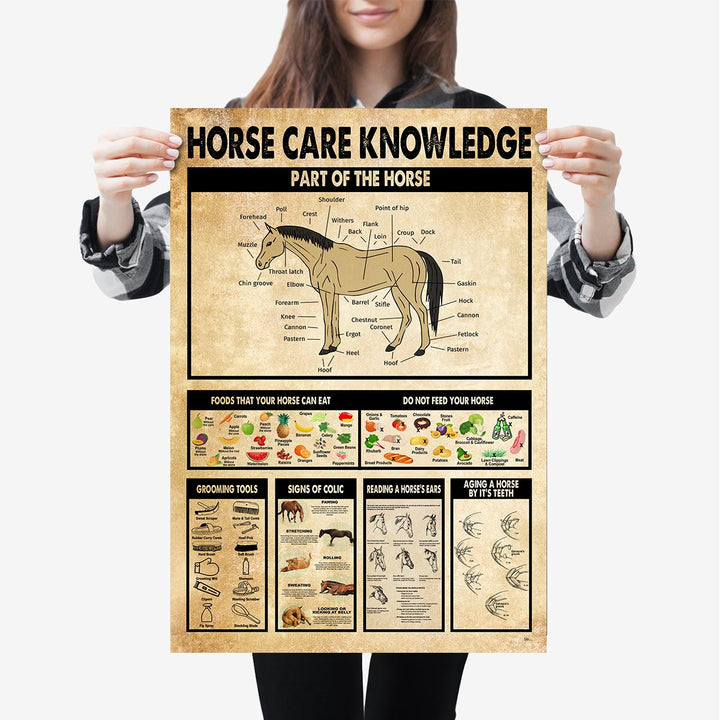 Horse Care Knowledge Parts Of The Horse Poster