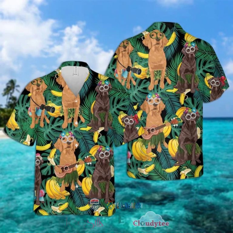 L1hQn0op-T280322-027xxxChesapeake-Bay-Retriever-Banana-Tropical-Hawaiian-Shirt.jpg