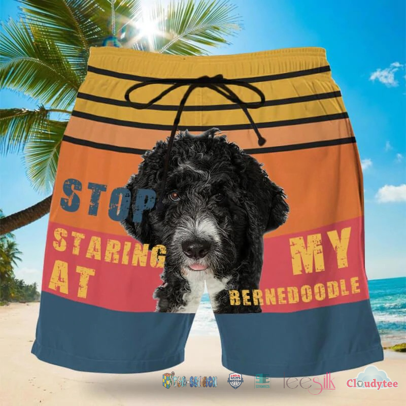 Luxury Stop Staring At My Bernedoodle Beach Shorts