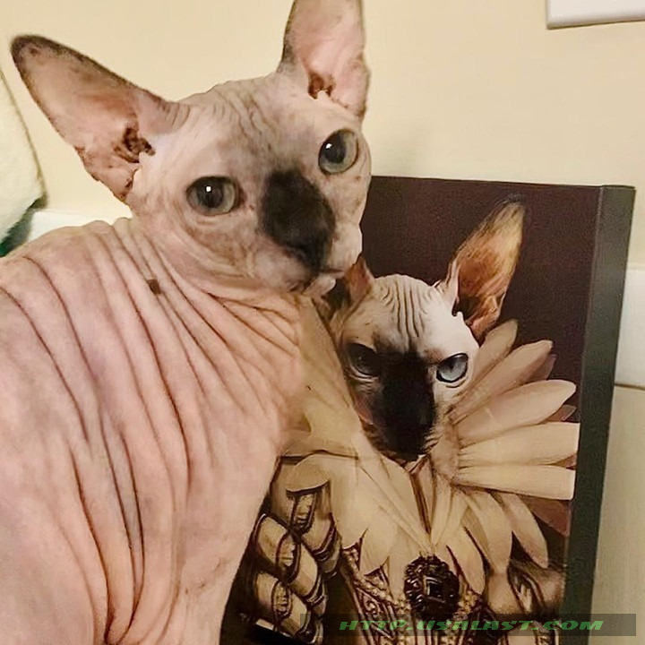UTQ0q34O-T150322-064xxxThe-Queen-Personalized-Pet-Image-Canvas-And-Poster-1.jpg