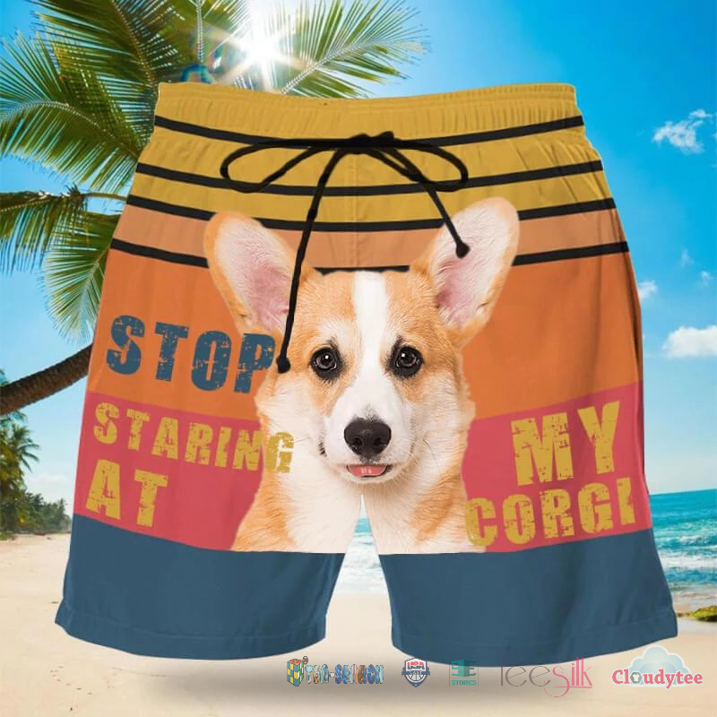Best Stop Staring At My Corgi Dog Hawaii Shorts