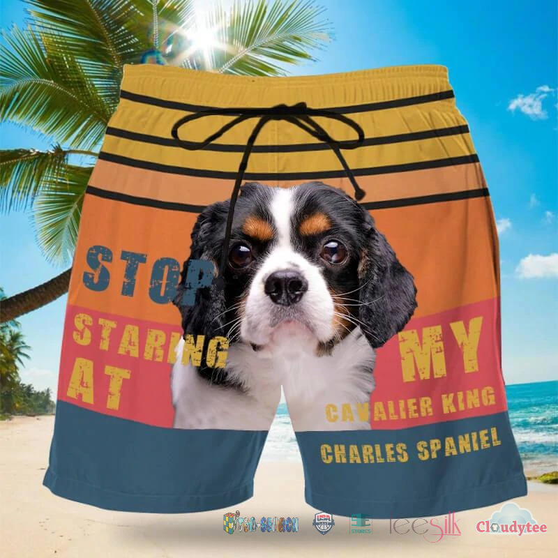 For Fans Stop Staring At My Cavalier King Charles Spaniel Beach Shorts