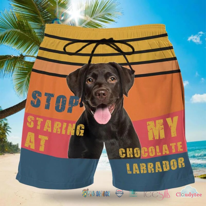 Luxurious Stop Staring At My Chocolate Labrador Beach Shorts