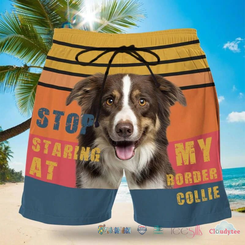 New Trend Stop Staring At My Border Collie Dog Beach Shorts
