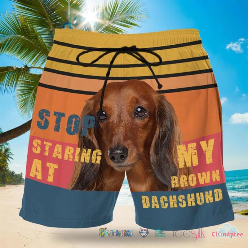 Unique Stop Staring At My Brown Dachshund Dog Beach Shorts