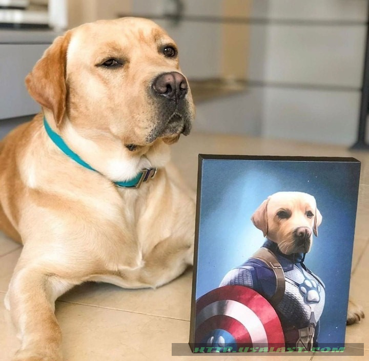 qbsnoxCl-T150322-043xxxPersonalized-Captain-America-Custom-Pet-Poster-Canvas-1.jpg