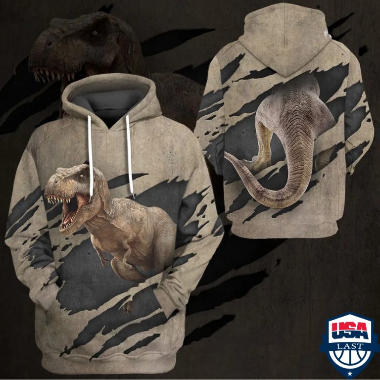 rrCkM8sq-TH230322-31xxxT-Rex-3d-hoodie-apparel3.jpg