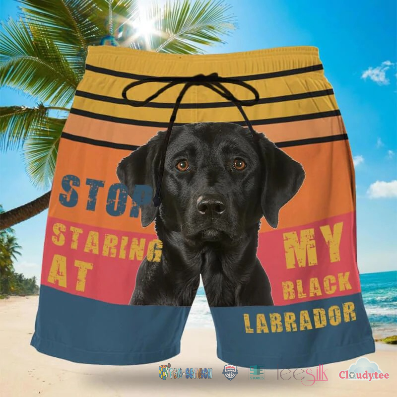 2022 Hot Sale Stop Staring At My Black Labrador Beach Shorts