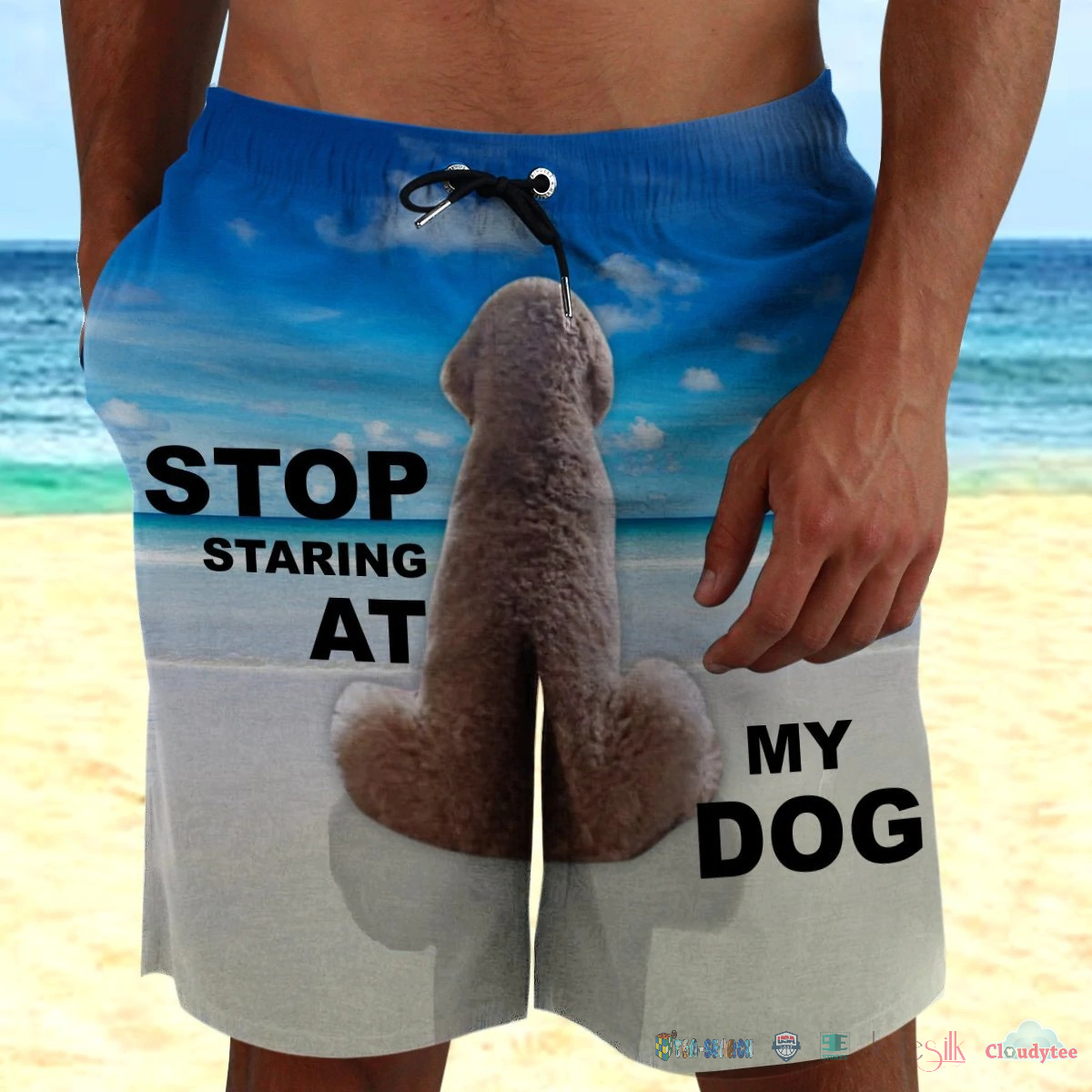 Amazing Stop Staring At My Dog Beach Shorts