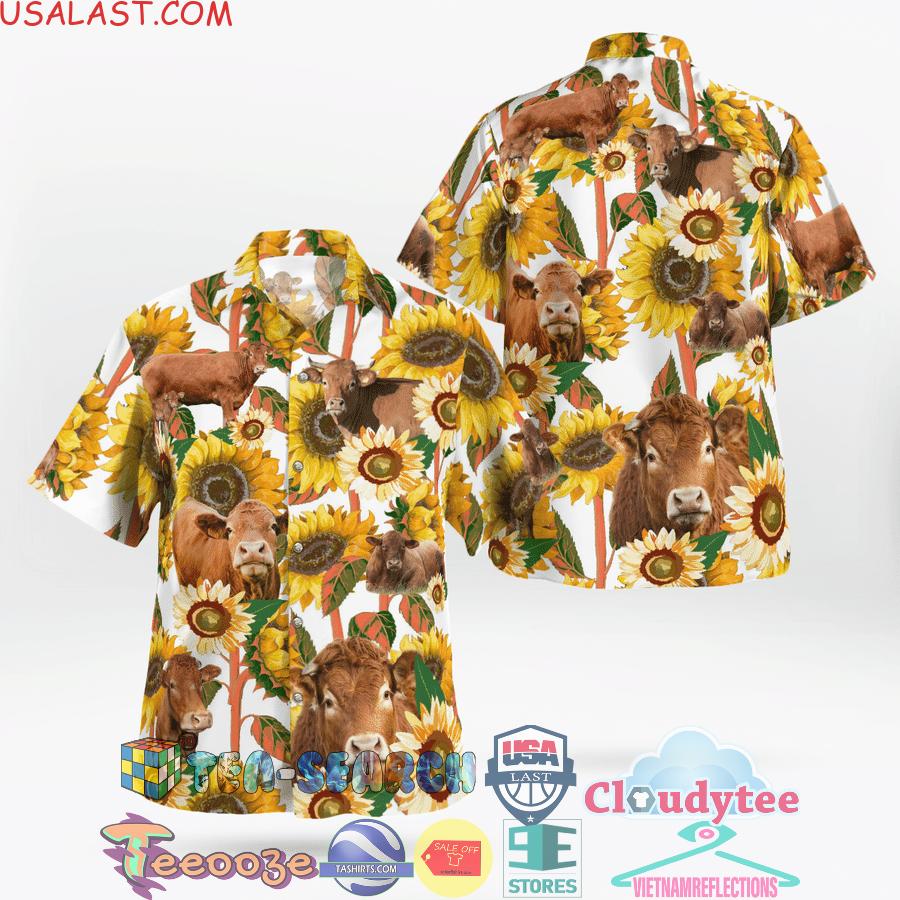 Limousin Cattle Sunflower Aloha Summer Beach Hawaiian Shirt