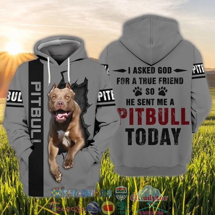 I Asked God For A True Friend So He Sent Me A Pitbull Today 3D Hoodie