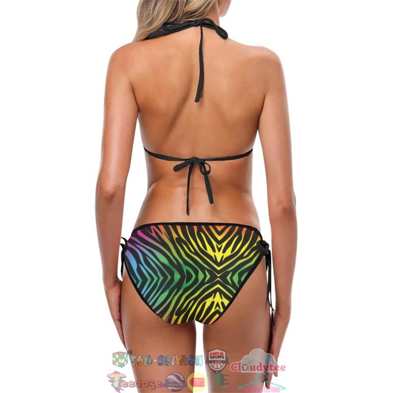 NWpFTb4C-TH240622-50xxxRainbow-Zebra-Themed-Print-Two-Piece-Bikini-Set2.jpg