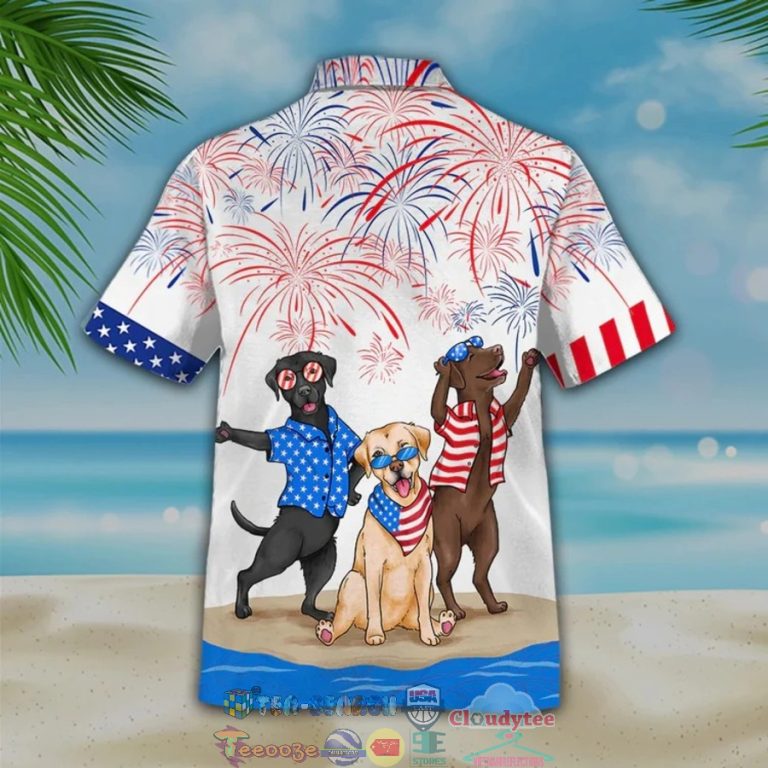 RyY1Tfvt-TH180622-31xxxLabrador-Independence-Day-Is-Coming-Hawaiian-Shirt.jpg