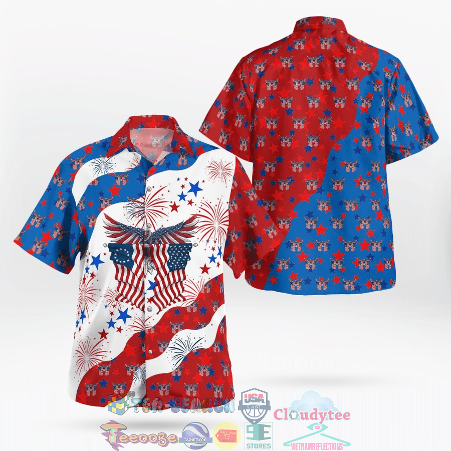 4th Of July Eagle American Independence Day Hawaiian Shirt