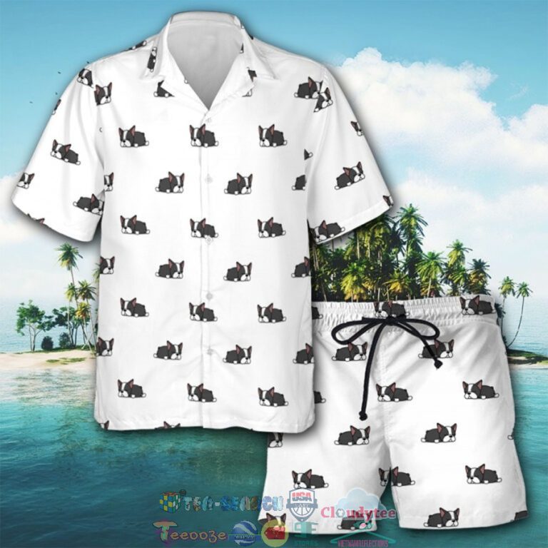 Boston Terrier Cute Art Hawaiian Shirt And Shorts