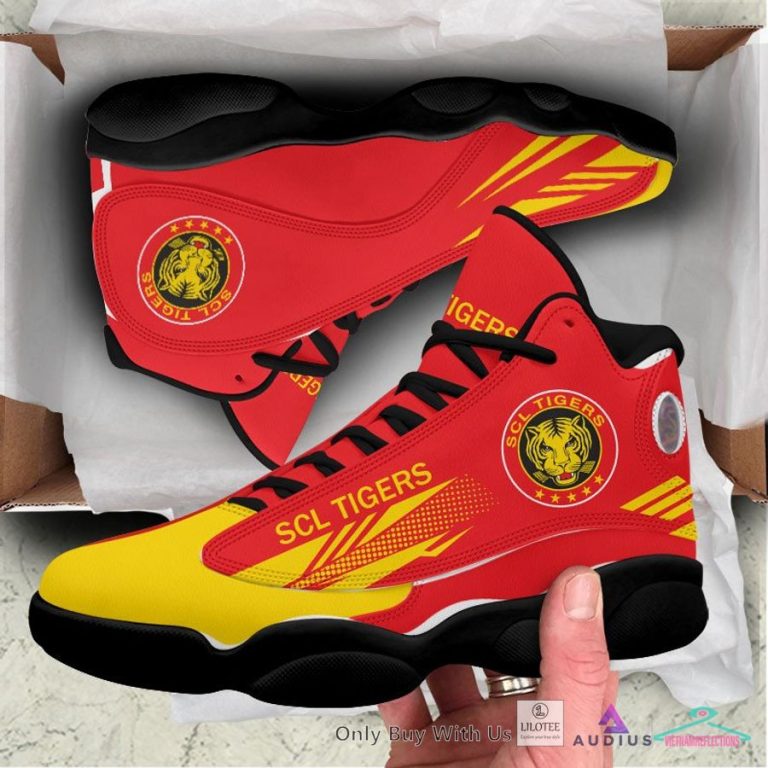 SCL Tigers Air Jordan 13 Sneaker - Nice place and nice picture